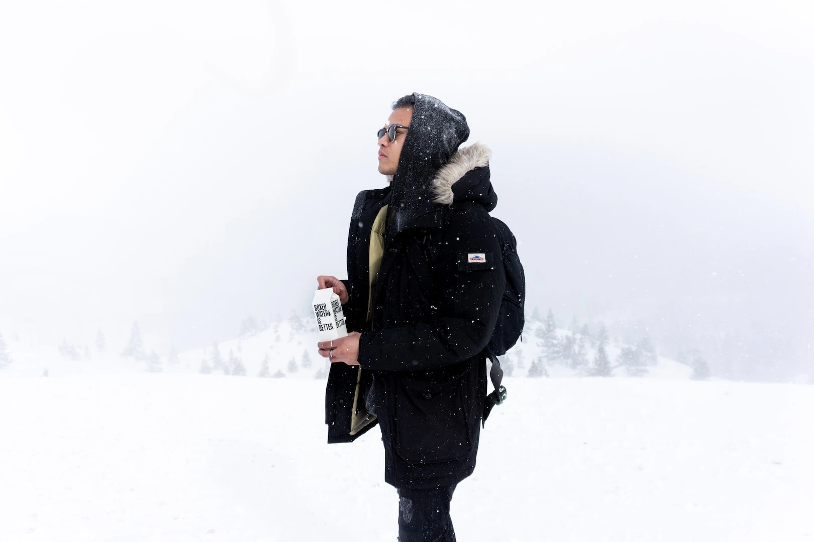 TEST PREVIEW GALLERY